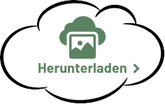 Herunterladen